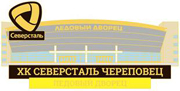 Значок Ледвый Дворец Северсталь